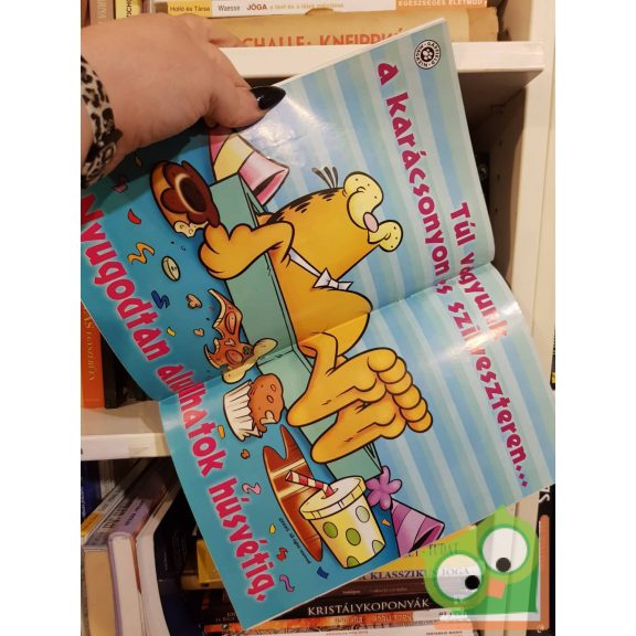 Jim Davis: Garfield 181. 2005. január, poszterrel