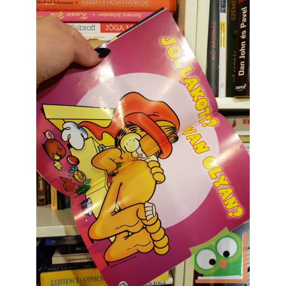 Jim Davis: Garfield 192. 2005. december, poszterrel