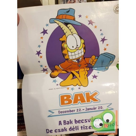 Garfield 2013/Január 274. szám (poszterrel)