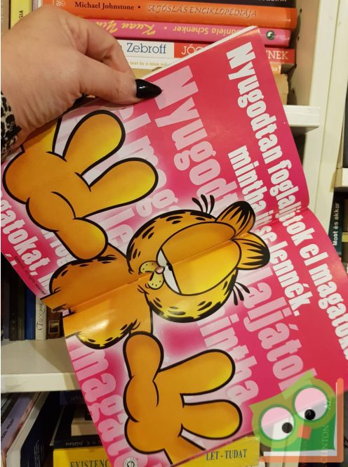 Jim Davis: Garfield 213. 2007. szeptember, poszterrel