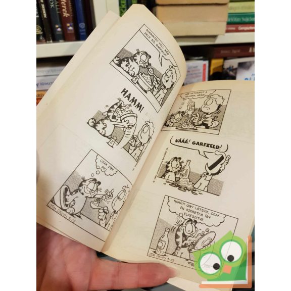 Jim Davis: Csillag születik (Zseb-Garfield 22.)