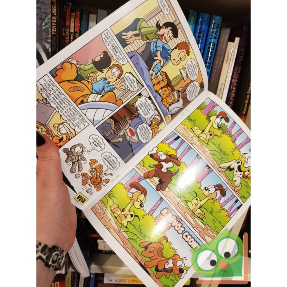 Jim Davis: Garfield 3. különszám