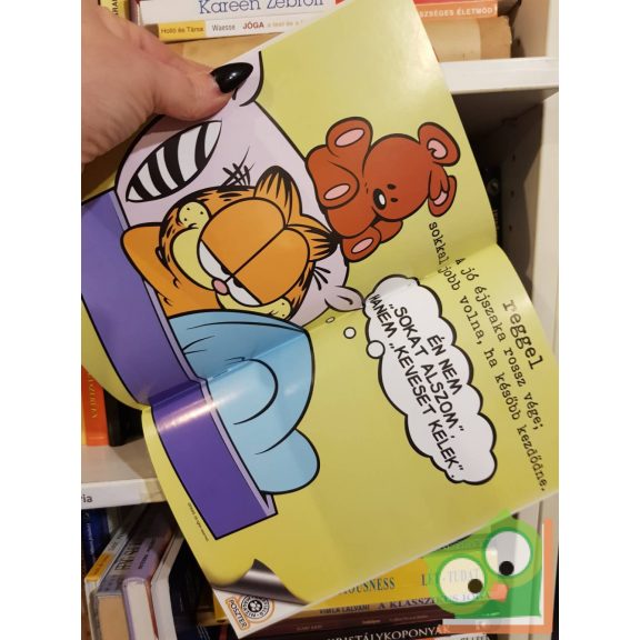 Jim Davis: Garfield 312. 2016. március, poszterrel