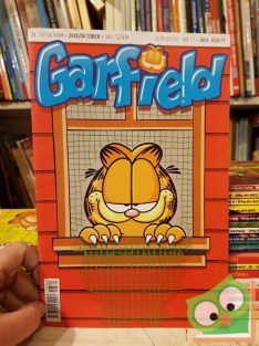 Jim Davis: Garfield 343.