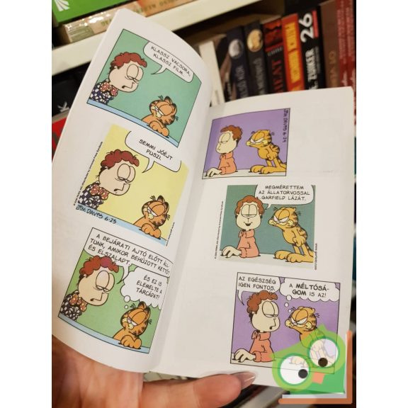 Jim Davis: Zseb-Garfield 94 - Nagy has nagy élvezet