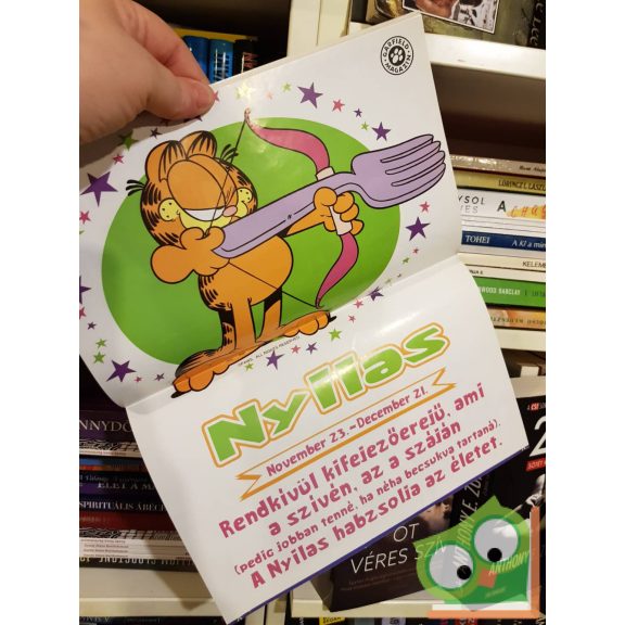 Garfield 2012/December 273. szám (Poszterrel)