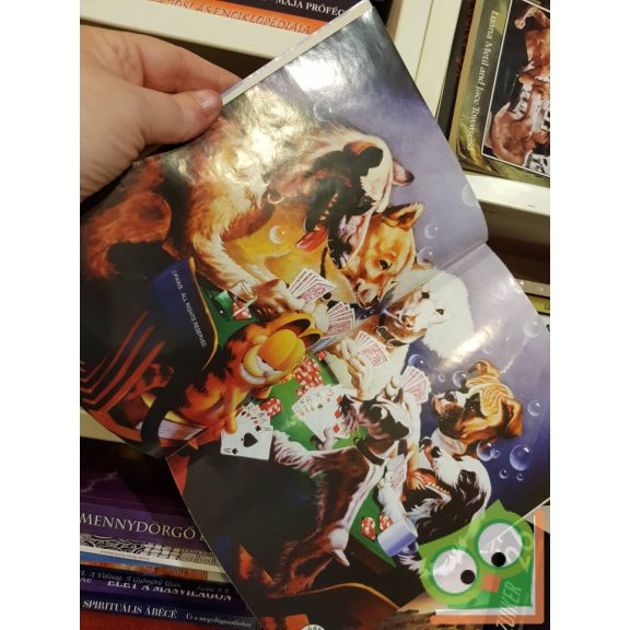 Garfield 2013/Május 278. szám (Poszterrel)