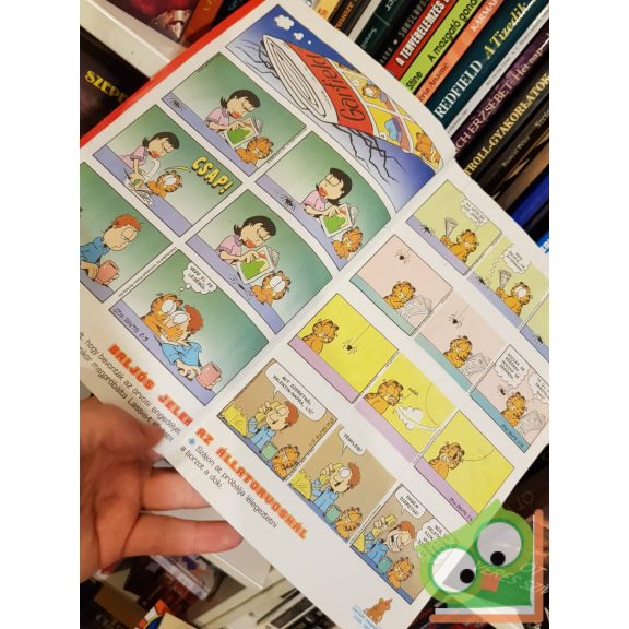 Garfield 2009/2 Február 230.szám poszterrel