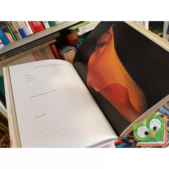 Anne Geddes: Első öt évem (Fóliás!)