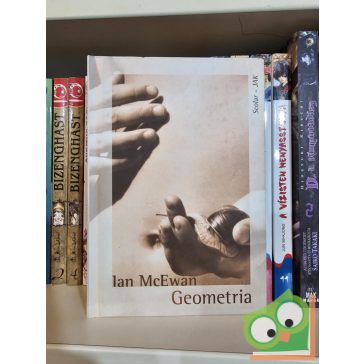 Ian McEwan: Geometria