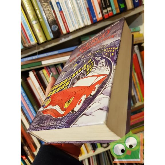 Böszörményi Gyula: Gergő és a bűbájketrec