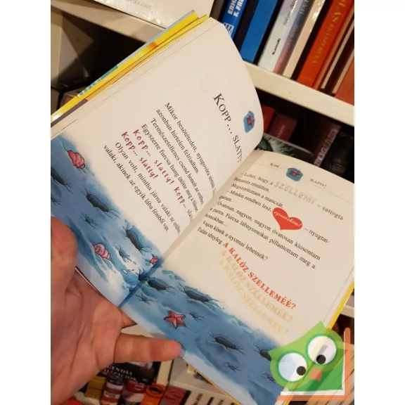 Geronimo Stilton: A Kalóz-szigetek kincse (Geronimo Stilton 31.)