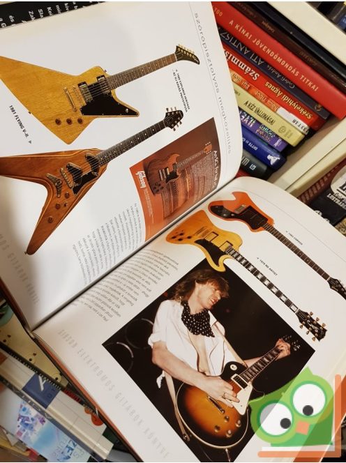 Walter Carter: Gibson elektromos gitárok könyve