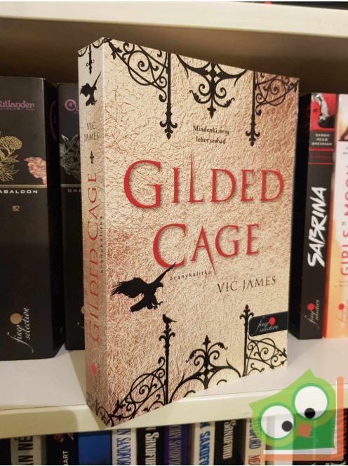 Vic James: Gilded Cage - Aranykalitka  (Sötét képességek 1.) (fine selection)