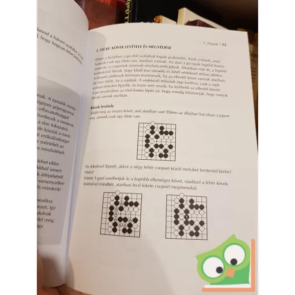 Mérő Csaba: Gó 24 leckében