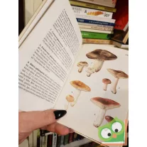 Babos Lórántné: Gombák 2. (Búvár zsebkönyvek)