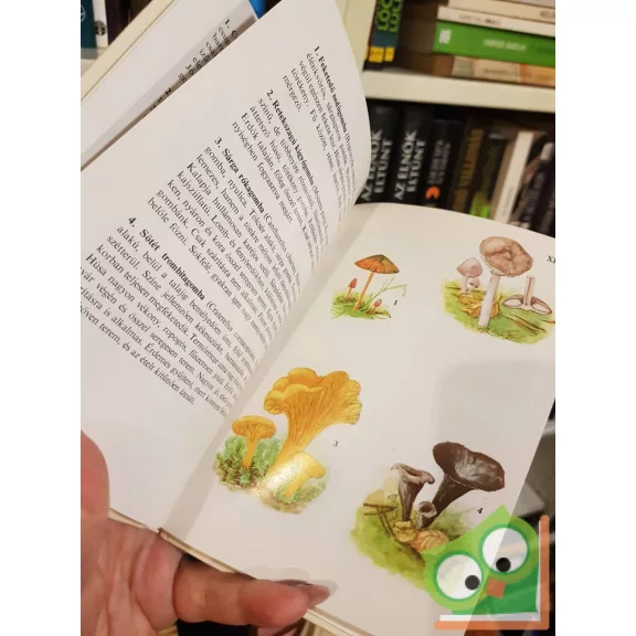 Kalmár Zoltán: Gombák (Búvár zsebkönyvek)