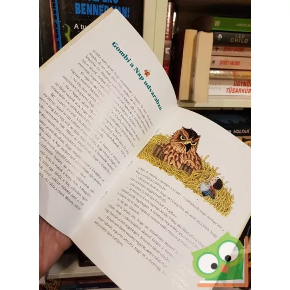 Mezei-Horváth M. Attila: Gombi, a pókból lett tündérfiú