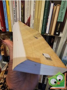   Philippa Gregory: A szűz királynő szeretője (A Tudorok 7.) (Plantagenet és Tudor regények 13.) (ritka)