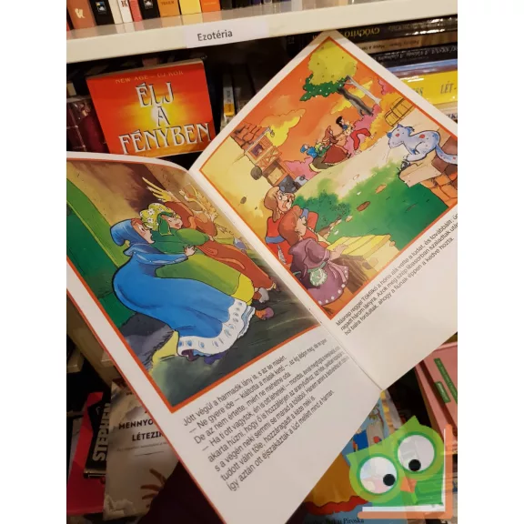 Jakob Grimm, Wilhelm Grimm: Az aranylúd (rajzolta: Haui József)