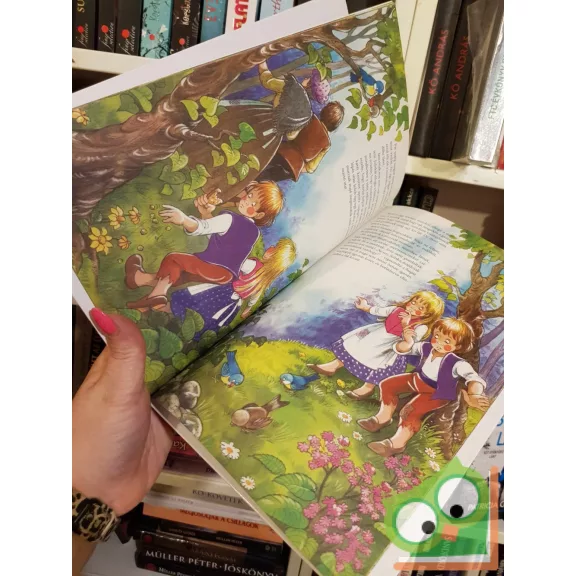 Jakob Grimm - Wilhelm Grimm: Jancsi és Juliska (Füzesi Zsuzsa rajzaival) (ritka)