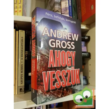 Andrew Gross: Ahogy vesszük (Ty Hauck 2.)