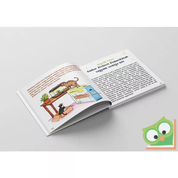 Borenszki-Gutási Éva: Puha cica és Kíváncsi Kismacska kalandjai