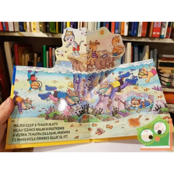 Gyere velünk a strandra (Gyere velünk!)