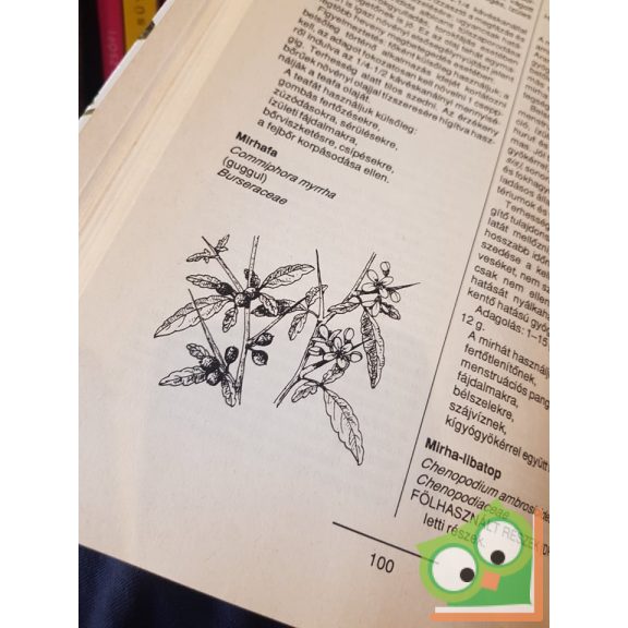 Michael Tierra: Gyógyfüveskönyv