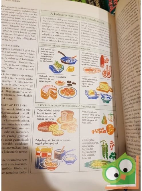 Gyógyító ételek - Ártalmas ételek (Reader’s Digest)