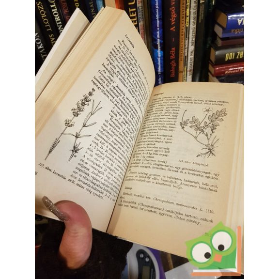 Rápóti Jenő, Romváry Vilmos: Gyógyító növények