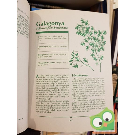 Michael Castleman: Gyógynövény enciklopédia