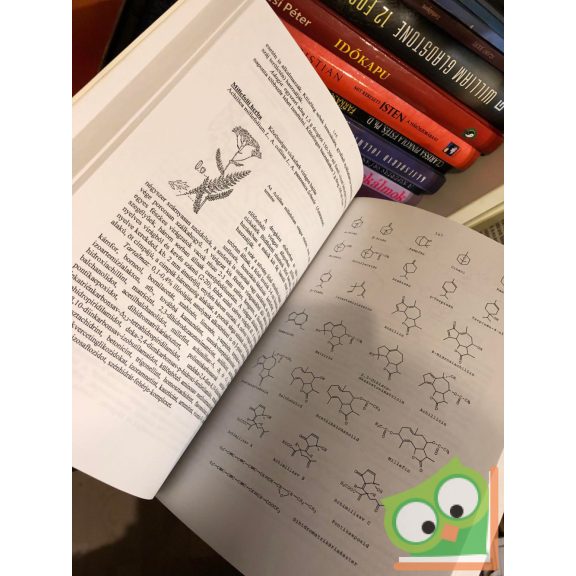 Tóth László: Gyógynövények, drogok,fitoterápia ( Nagyon ritka)