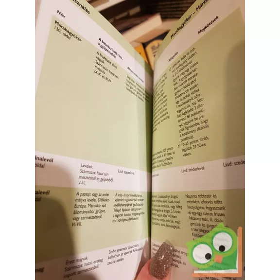 Ingrid Schönfelder, Peter Schönfelder: Gyógynövényhatározó (nagyon ritka)