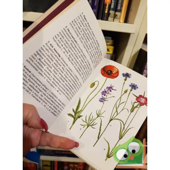 Hunyadi Károly: Gyomnövények (Búvár zsebkönyvek)