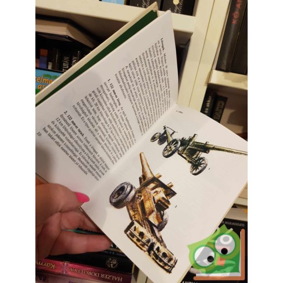 Matthaeidesz Konrád: A győzelem fegyverei (Kolibri könyvek)