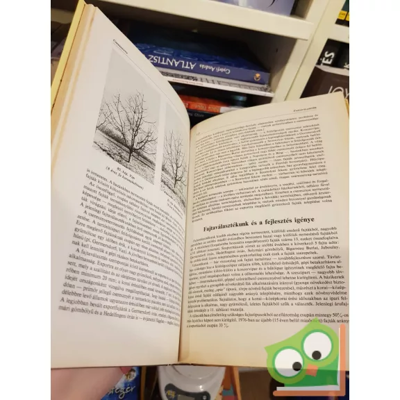 Tomcsányi Pál: Gyümölcsfajtáink - gyakorlati pomológia