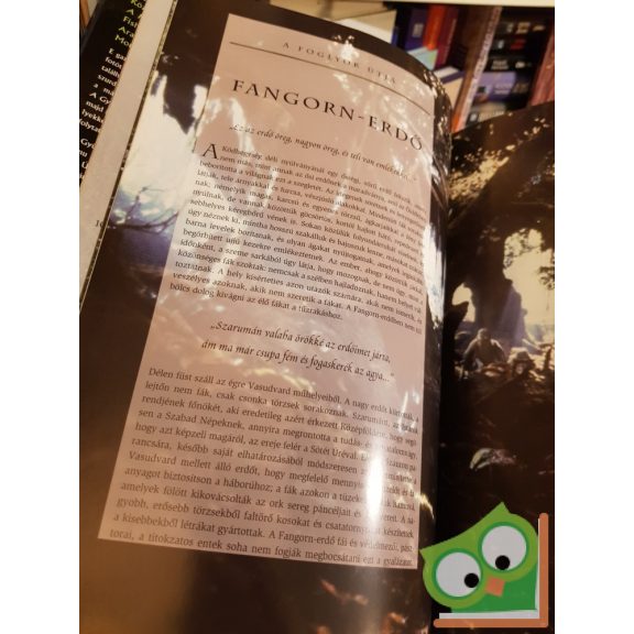 Jude Fisher: A Gyűrűk Ura  A két torony (Képes útmutató)