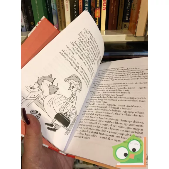 Gianni Rodari: Hagymácska története