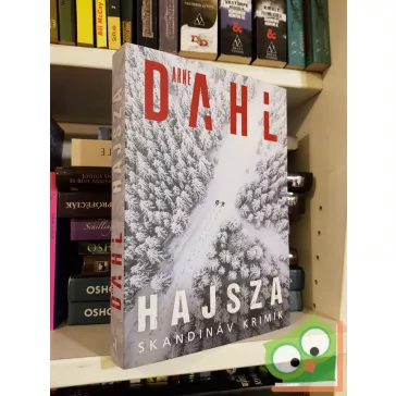Arne Dahl: Hajsza  (Berger & Blom 2.) (skandináv krimi)