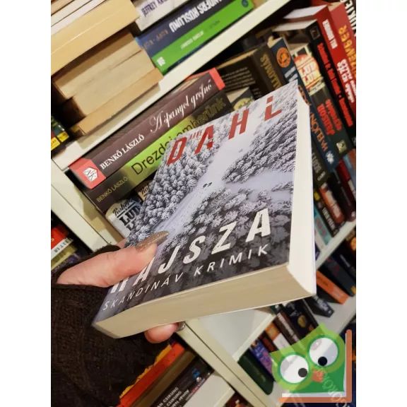 Arne Dahl: Hajsza  (Berger & Blom 2.) (skandináv krimi)