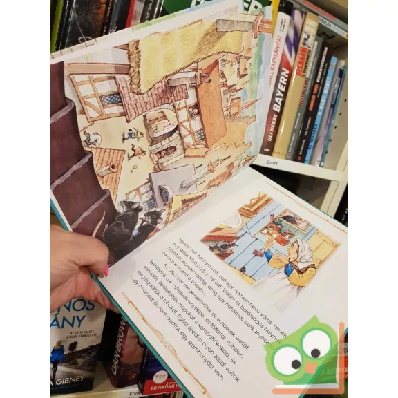 A hamelni patkányfogó (Tanulságos történetek)