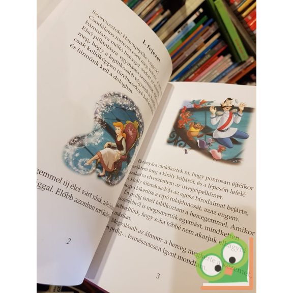 Hamupipőke - Hercegnők meséi - Az én csodálatos esküvőm