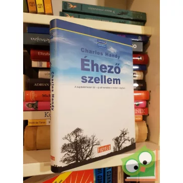   Charles Handy: Az éhező szellem - A kapitalizmuson túl - új cél keresése a modern világban