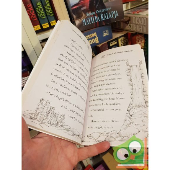 Daisy Meadows: Hanna mindent elfelejt (Varázslatos Állatbirodalom 13.)