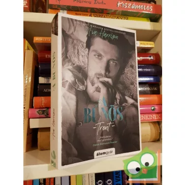 Ava Harrison: A bűnös (Alvilági játszmák 4.)