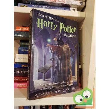 Adam-Troy Castro: Barangolás Harry Potter világában