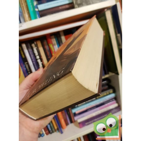 J. K. Rowling: Harry Potter és a Halál ereklyéi (Harry Potter 7.)