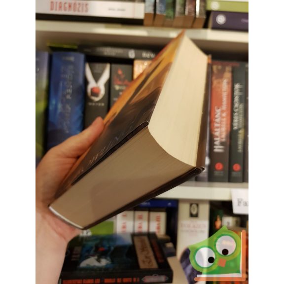 J. K. Rowling: Harry Potter és a Halál ereklyéi (Harry Potter 7.) 2017