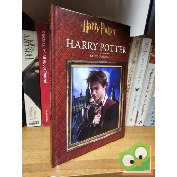 Harry Potter - Képes kalauz